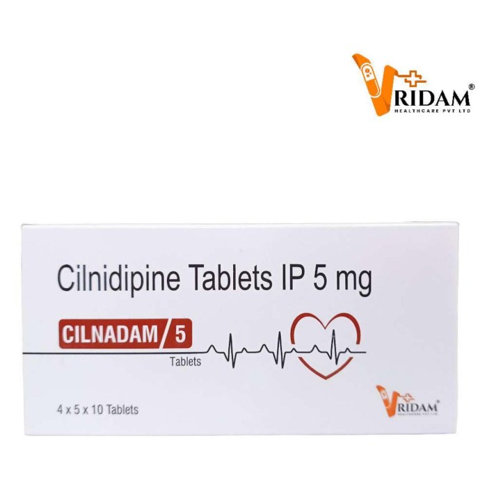 AMLODAM 5 TABLET